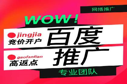 百度推广的广告投放策略案例